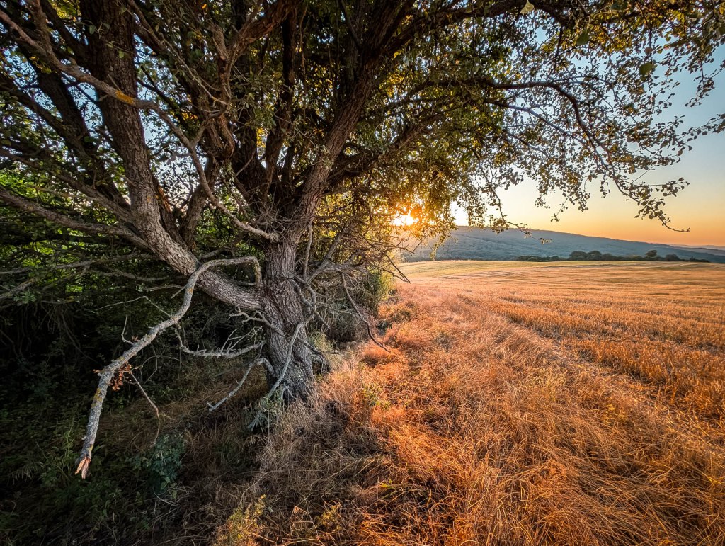 200×200 km projekt • 2024. 08. 10. • Bajót – Nyergesújfalu – Lábatlan&nbsp;Cimbivel