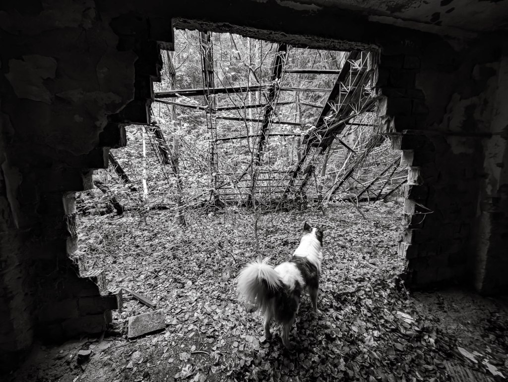 200×200 km projekt • 2024. 10. 05. • Kőszeg: Csónakázó-tó, Kálvária-hegy, Pintér-tető, Kincs-hegy, Napos-tető&nbsp;Cimbivel