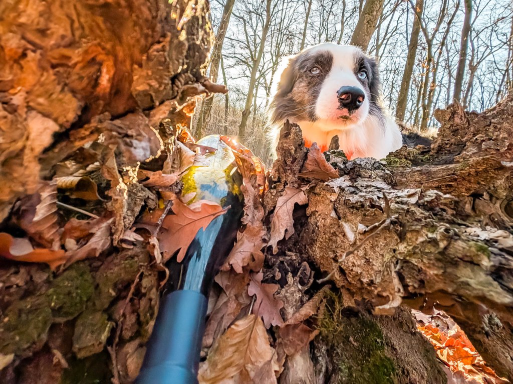 200×200 km projekt • 2024. 12. 21. • Tatabánya – Tarján – Bicske&nbsp;Cimbivel