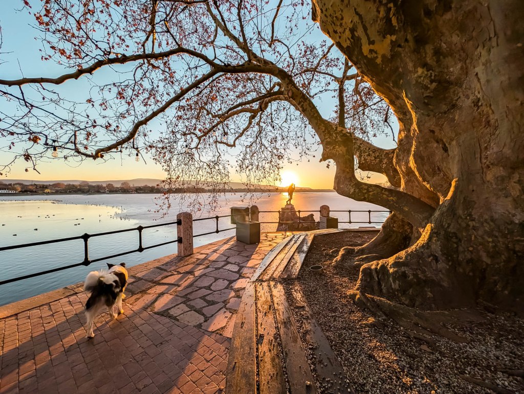 200×200 km projekt • 2025. 01. 04. • Tata: Öreg-tó&nbsp;Cimbivel