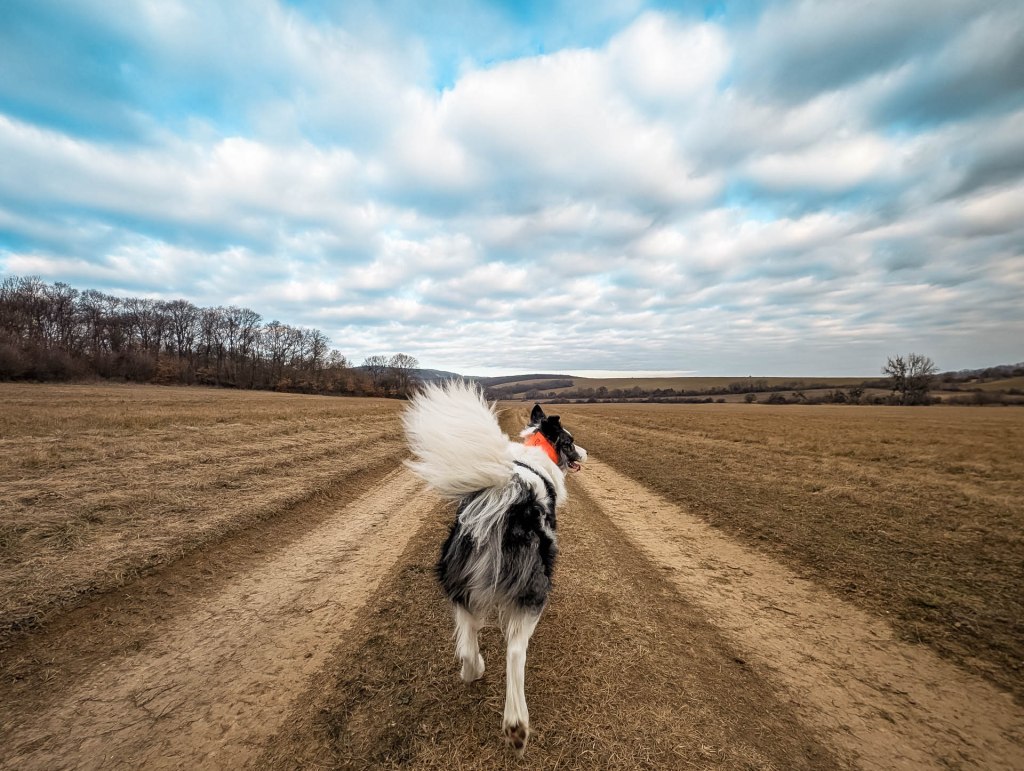 200×200 km projekt • 2025. 02. 15. • Bajna – Nagysáp – Nyergesújfalu&nbsp;Cimbivel
