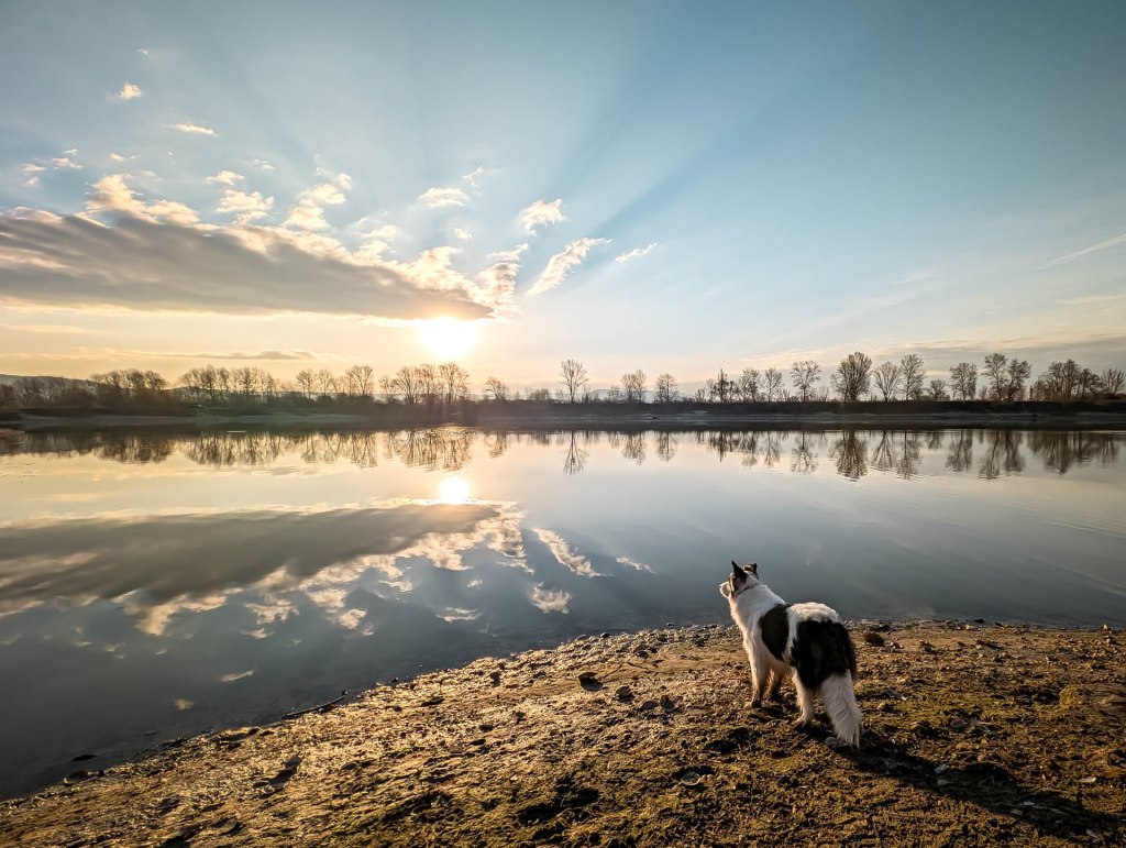 200×200 km projekt • 2025. 03. 22. • Esztergom&nbsp;Cimbivel