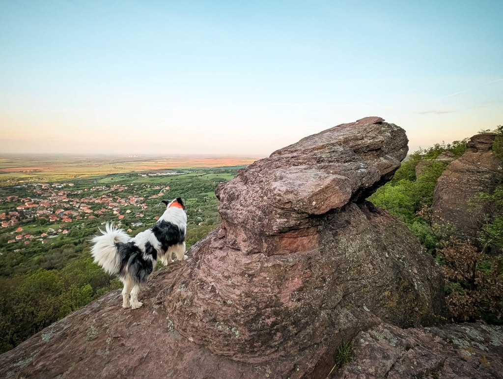 200×200 km projekt • 2025. 04. 27. • Kővágószőlős Cimbivel (Mecsek&nbsp;#45)