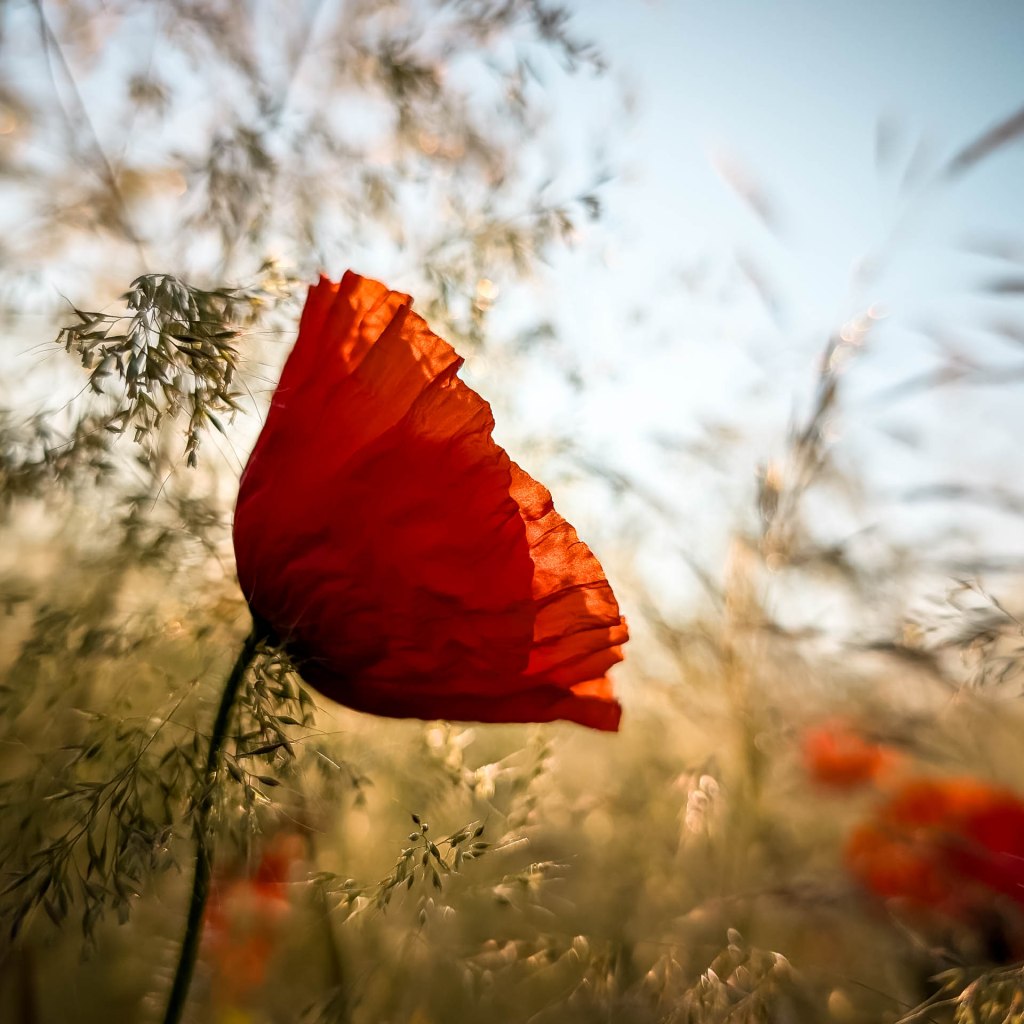 200×200 km projekt • 2025. 06. 14. • Tokodaltáró – Esztergom&nbsp;Cimbivel