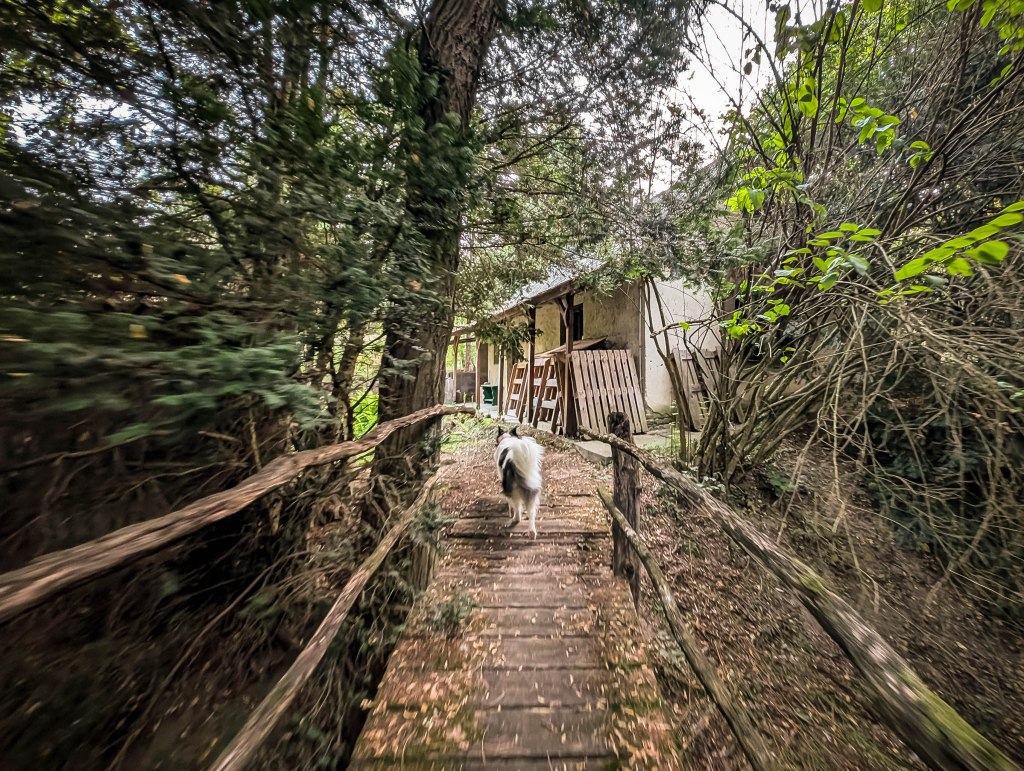 200×200 km projekt • 2025. 08. 16. • Bajót: Cinege-hegy Cimbivel