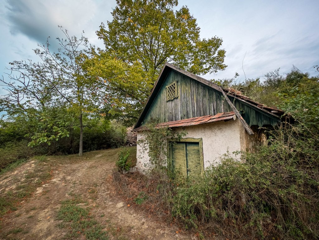 200×200 km projekt • 2025. 09. 13. • Bajna: Szilva-kúti-hegy, Kablás-hegy Cimbivel