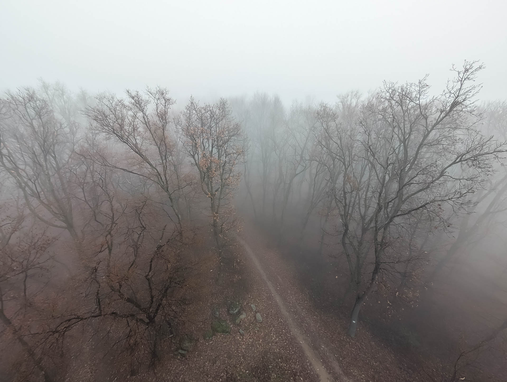 200×200 km projekt • 2025. 12. 13. • Hosszúhetény: Kövestető Cimbivel (Mecsek #50)
