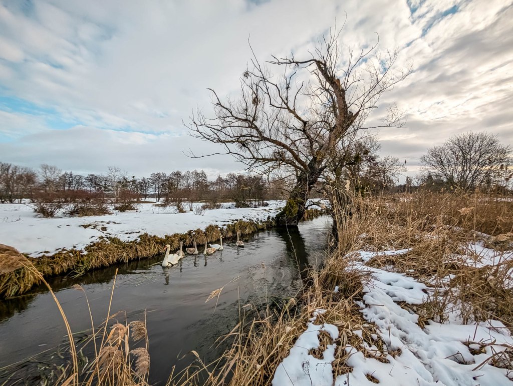 200×200 km projekt • 2026. 01. 17. • Tata&nbsp;Cimbivel