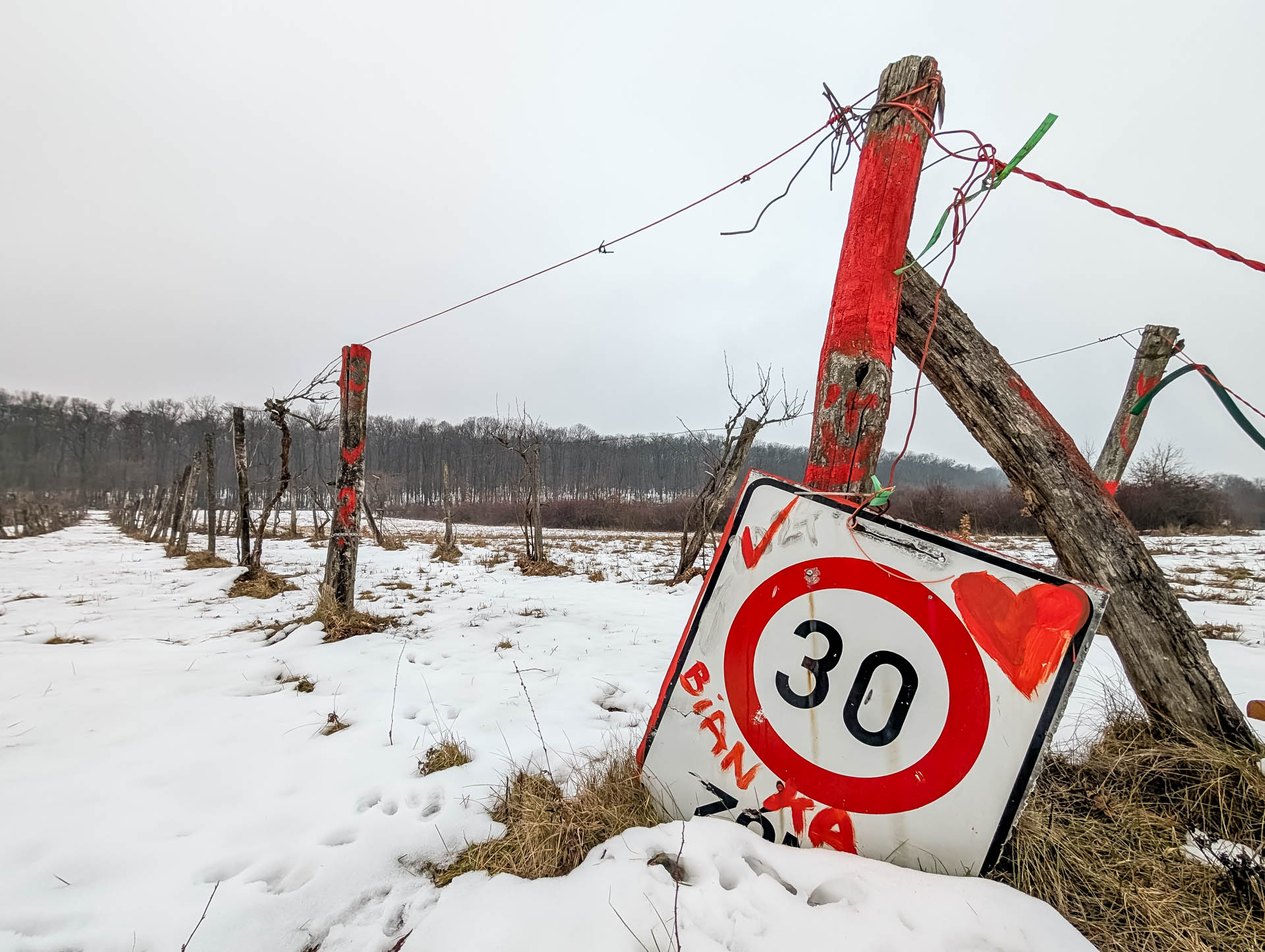 200×200 km projekt • 2026. 01. 24. • Budakeszi&nbsp;Cimbivel