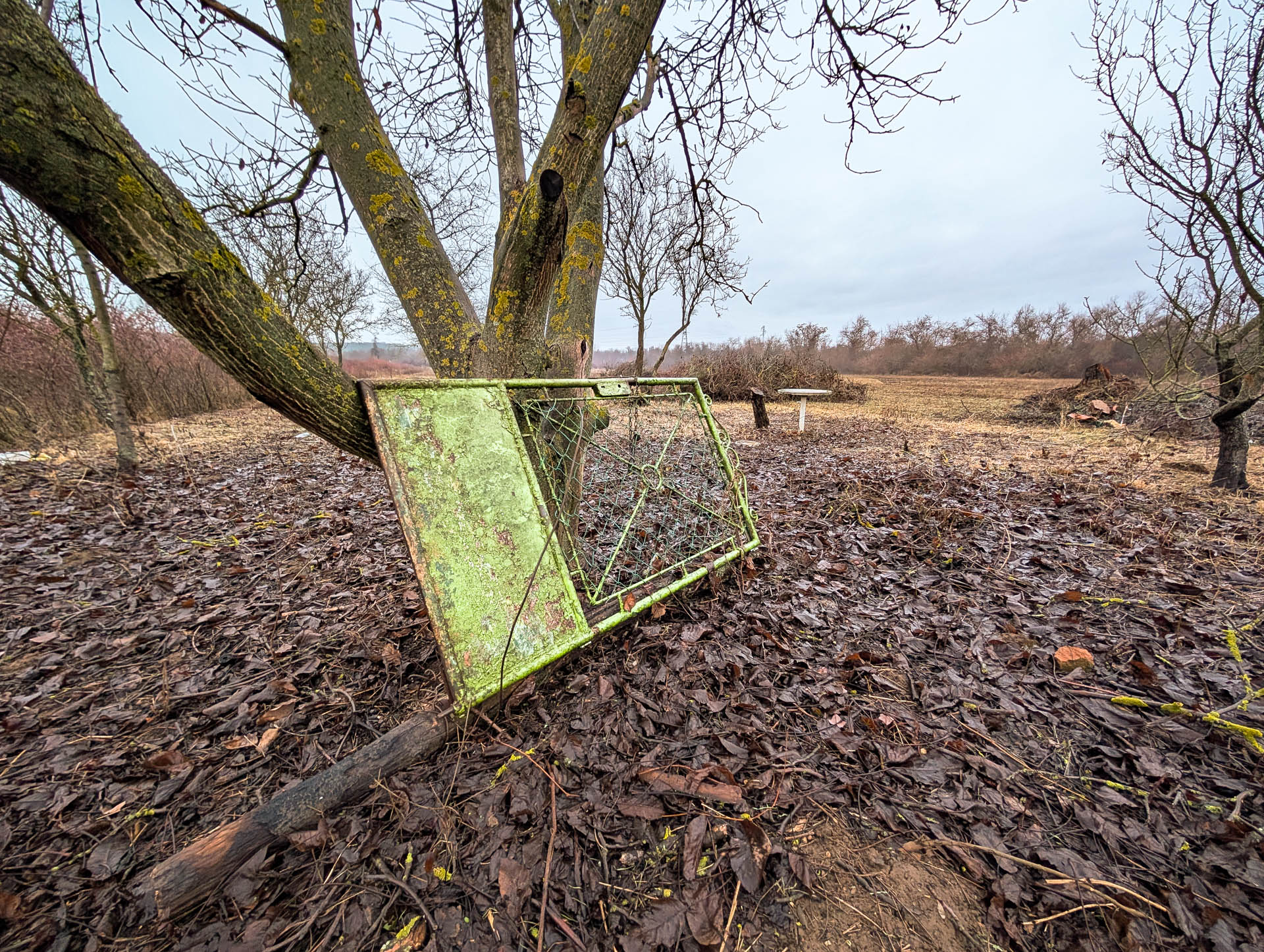 200×200 km projekt • 2026. 01. 31. • Budakeszi&nbsp;Cimbivel