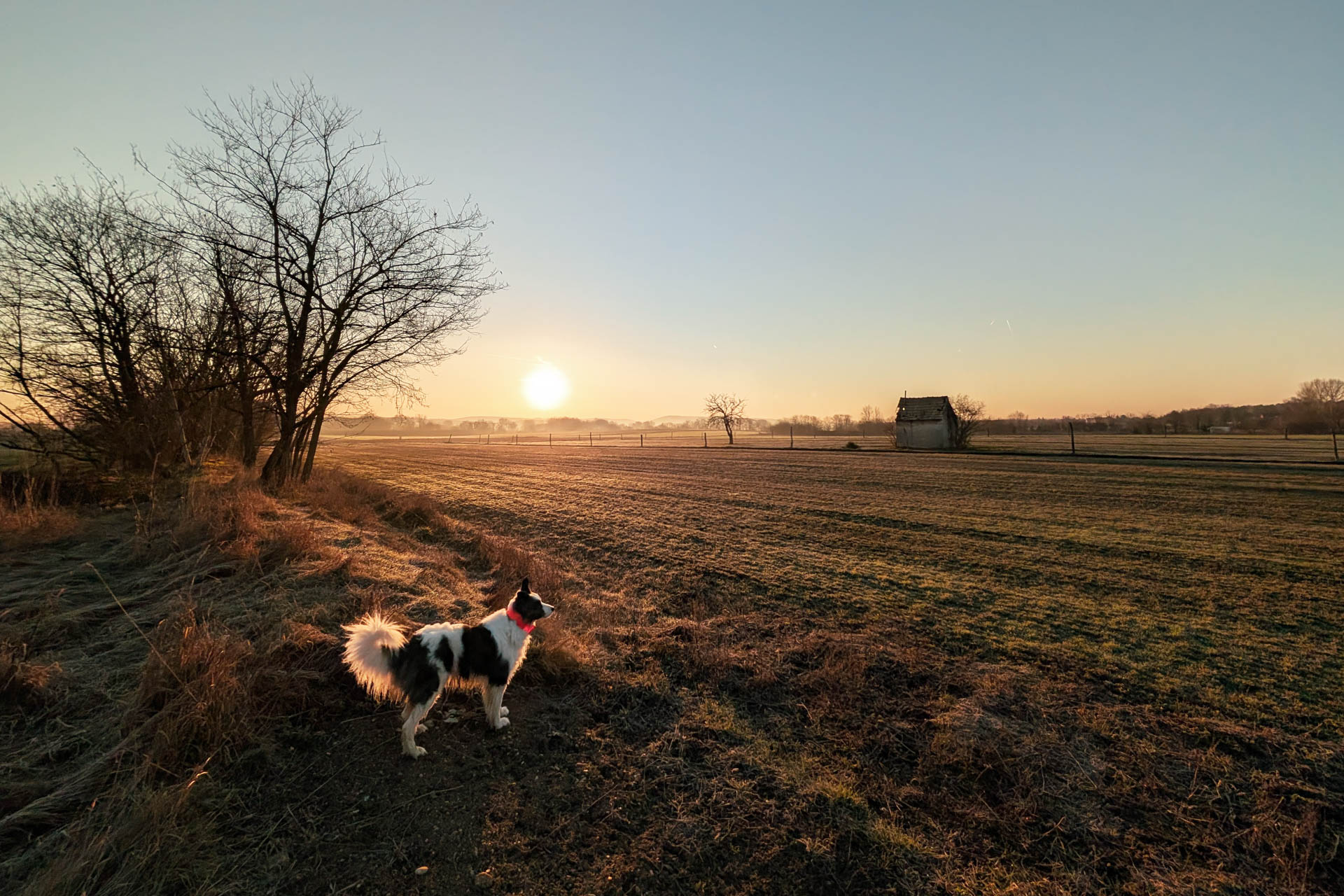 200×200 km projekt • 2026. 02. 28. • Naszály – Dunaalmás&nbsp;Cimbivel