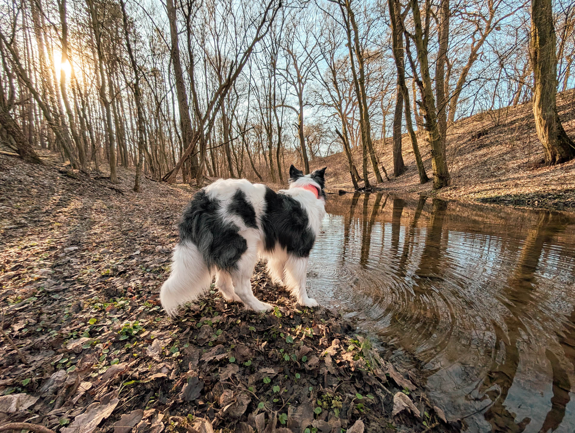 200×200 km projekt • 2026. 03. 14. • Bajót: Domonkos-hegy – Nagysáp&nbsp;Cimbivel