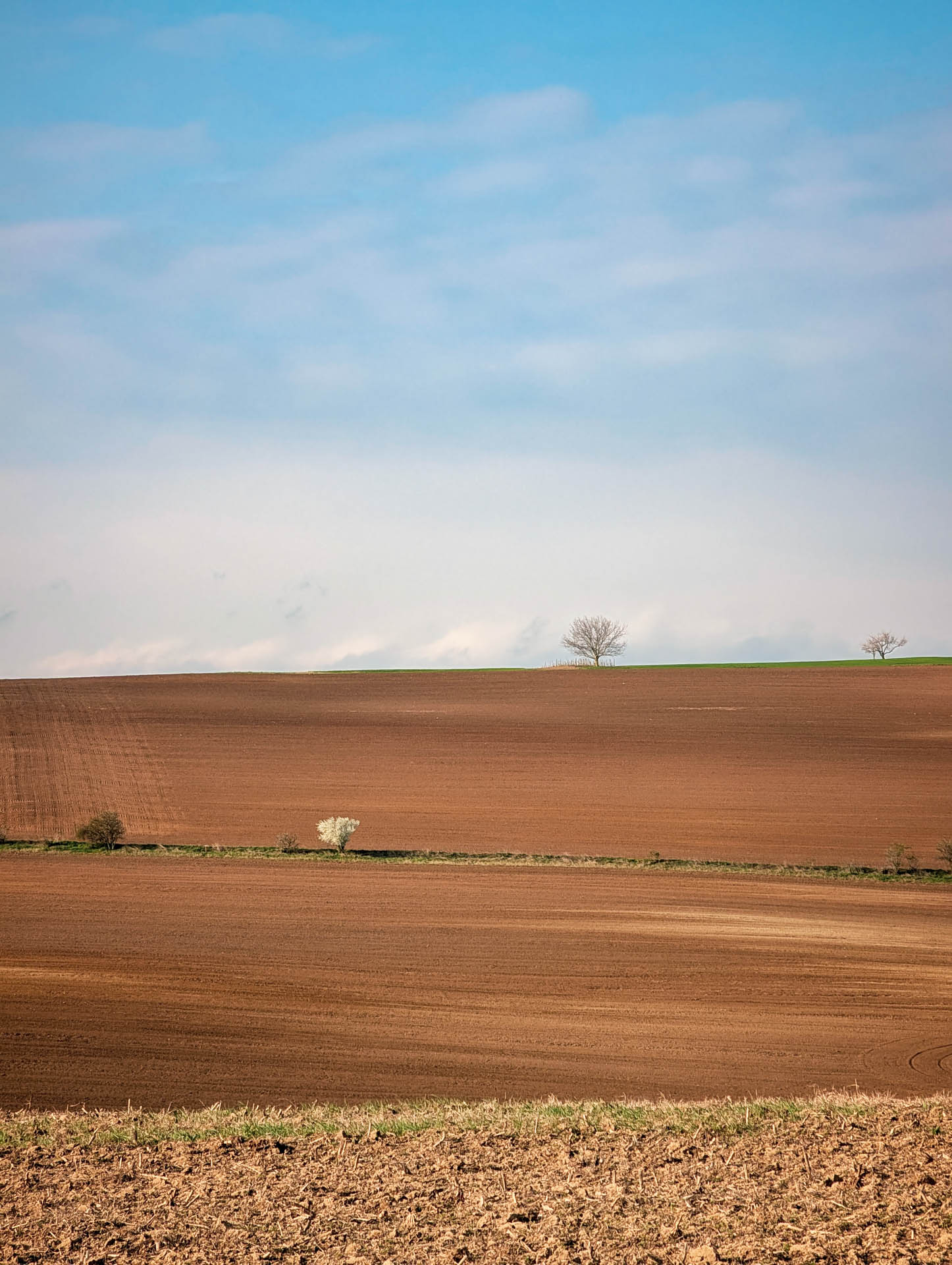 200×200 km projekt • 2026. 03. 28. • Nagysáp Cimbivel