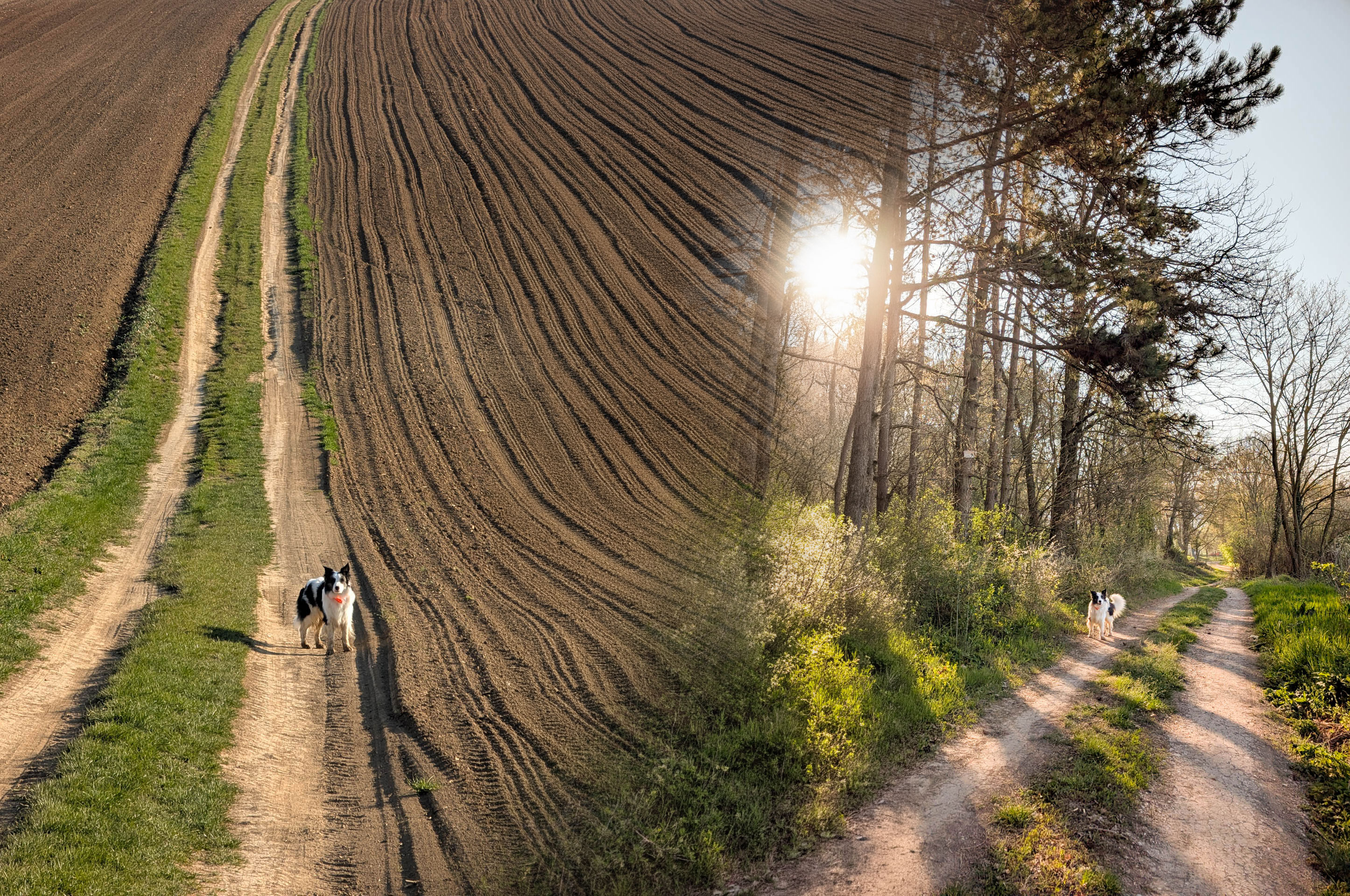 200×200 km projekt • 2026. 04. 11. • Bajna Cimbivel
